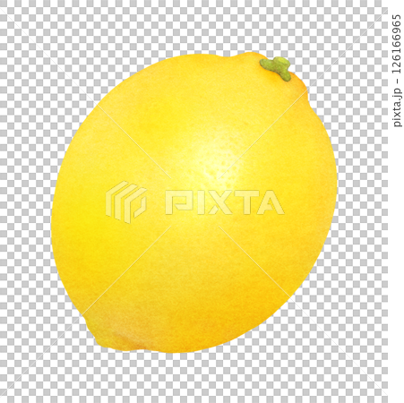 Fresh lemon hand-drawn illustration_Watercolor_Citrus Fresh lemon hand-drawn illustration_Watercolor_Citrus 126166965
