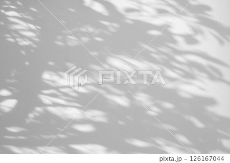 Abstract natural tree leaves shadow on white wall background Abstract natural tree leaves shadow on white wall background 126167044