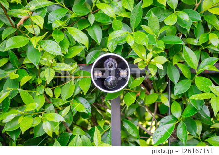 Security IP CCTV camera install on the fence for home security system 126167151