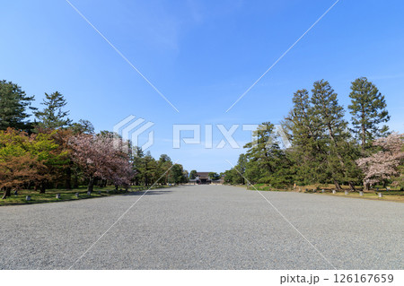 春の京都御所 建礼門 (京都府京都市上京区) 126167659