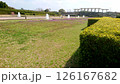 海浜公園のキレイな芝生 126167682