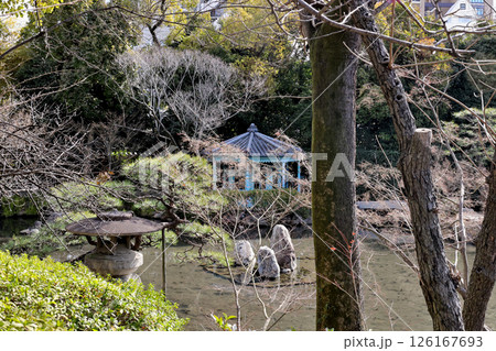 四天王寺 本坊庭園 極楽浄土の庭 梅の花と小さな池 四天王寺 本坊庭園 極楽浄土の庭 梅の花と小さな池 126167693