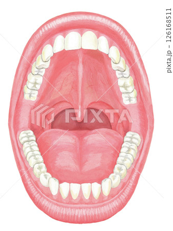 大口を開けた口内のイラスト 126168511