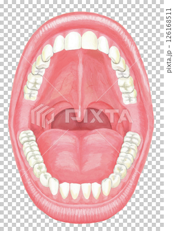 張大嘴巴的插圖 126168511