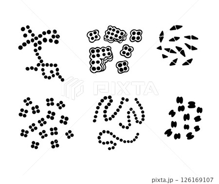 Vector isolated illustration of a set of cocci bacteria. 126169107