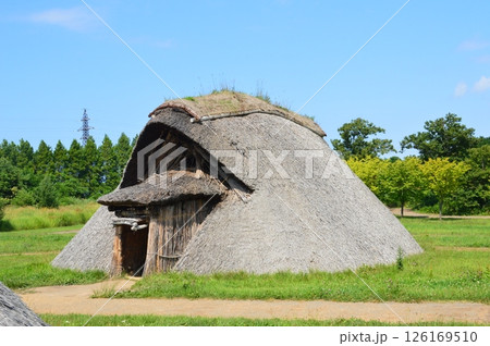 茅葺き竪穴式住居(三内丸山遺跡/青森県青森市大字三内字丸山) 茅葺き竪穴式住居(三内丸山遺跡/青森県青森市大字三内字丸山) 126169510