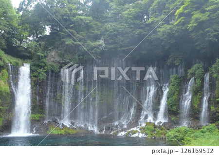 白糸の滝（静岡県富士宮市上井出） 126169512