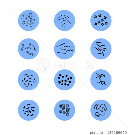 Vector isolated illustration of a set of bacteria types: vibrios and spirilla. Coccus and rod-shaped bacteria. Vector isolated illustration of a set of bacteria types: vibrios and spirilla. Coccus and rod-shaped bacteria. 126169650