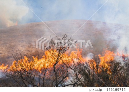 伊東市の青空に映える大室山の山焼きの風景(静岡県) 伊東市の青空に映える大室山の山焼きの風景(静岡県) 126169715