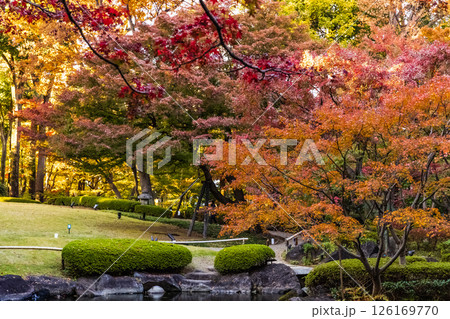 紅葉の大田黒公園 東京庭園秋風景 紅葉の大田黒公園 東京庭園秋風景 126169770