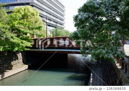 岐阜県大垣市　水門川の清水橋 126169830