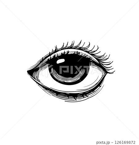 Monochrome anatomical eye sketch exhibiting detailed lash representation 126169872