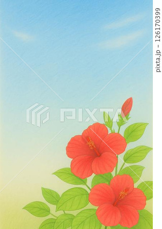 ポストカード　ハイビスカス 126170399