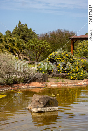 Botanic garden Cabildo de Gran Canaria, Spain Botanic garden Cabildo de Gran Canaria, Spain 126170858