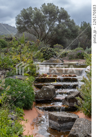 Botanic garden Cabildo de Gran Canaria, Spain Botanic garden Cabildo de Gran Canaria, Spain 126170883