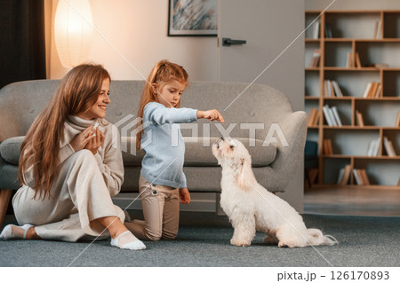 Playing with pet. Mother with daughter is at home with maltese dog 126170893