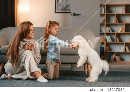 Mother with daughter is at home with maltese dog 126170894