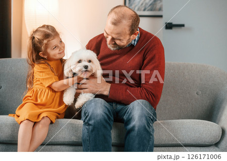 Front view. Man is taking care of his maltese dog. Girl is sitting on the sofa 126171006
