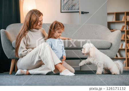 Having fun together. Mother with daughter is at home with maltese dog 126171132