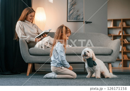 Side view. Girl is playing with her pet. Mother with daughter is at home with maltese dog 126171158