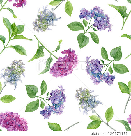 Hydrangea flowers pattern. Watercolor of pink, purple and white flowers isolated on a white background. Good for postcards, invitations, greeting cards, wallpaper, textiles 126171171