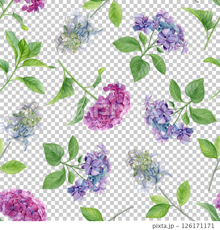 Hydrangea flowers pattern. Watercolor of pink, purple and white flowers isolated on a white background. Good for postcards, invitations, greeting cards, wallpaper, textiles 126171171