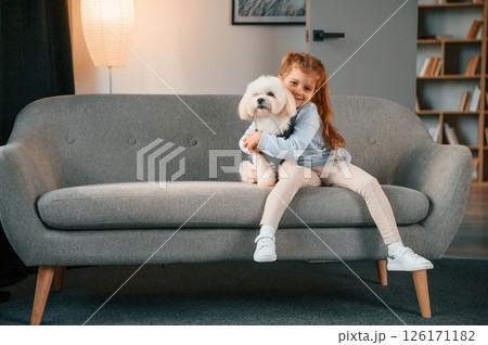 Embracing the animal. Little girl is with maltese dog indoors in domestic room Embracing the animal. Little girl is with maltese dog indoors in domestic room 126171182