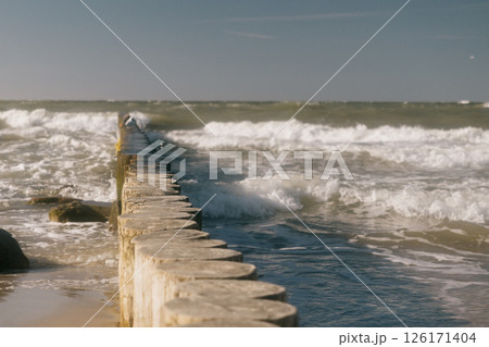 row of logs on beach. pier made of wooden beams on sand.  126171404