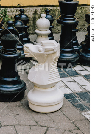Black and white chess set with white king black pawns is displayed on black white checkered board.  126171445