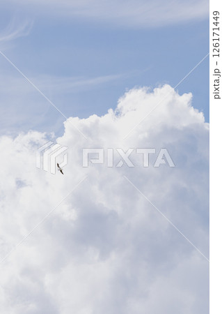 Fluffy white cloud in the blue sky. clear and cloudy weather, possible precipitation, rain. 126171449