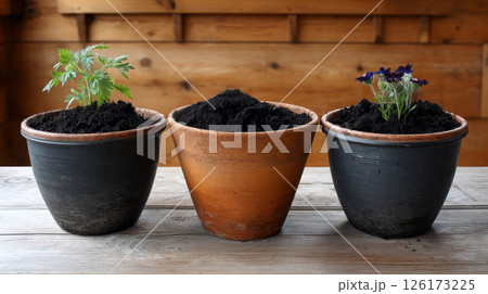 Compost used in flower pots, home gardening. Compost ingredients organized by type, educational layout. Recycling of waste, zero waste production, preservation of the ecology of the Earth 126173225