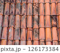 Close-up of Cracked and Weathered Terracotta Roof Tiles with Moss Texture Close-up of Cracked and Weathered Terracotta Roof Tiles with Moss Texture 126173384