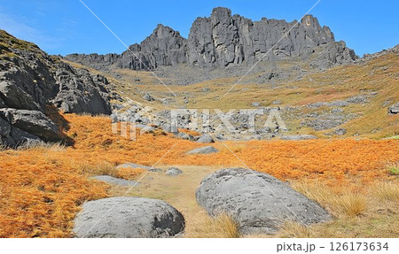 Majestic peaks and golden hues, A breathtaking alpine landscape 126173634