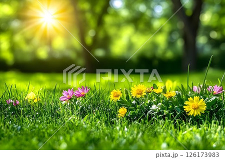 Sunlit floral meadow with vibrant colors and blissful nature scenes 126173983