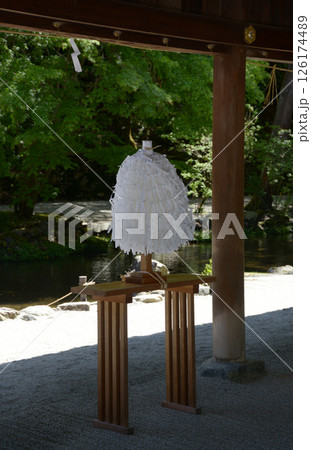 上賀茂神社 ならの小川と大麻 京都市北区 上賀茂神社 ならの小川と大麻 京都市北区 126174489