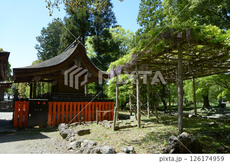 上賀茂神社　奈良神社と藤棚　京都市北区 126174959
