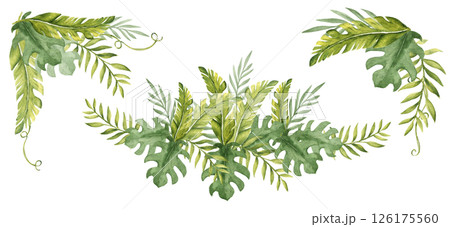 Tropical Leaves Compositions Set. Eucalyptus, Banana Palm and Monstera Watercolor Corners, Bouquet with Liana. Hand drawn botanical illustration isolated on white background. For cards, invitations 126175560