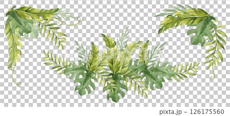 Tropical Leaves Compositions Set. Eucalyptus, Banana Palm and Monstera Watercolor Corners, Bouquet with Liana. Hand drawn botanical illustration isolated on white background. For cards, invitations 126175560