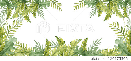 Watercolor horizontal square Frame from Tropical Leaves, banner. Eucalyptus, Monstera and Banana Palm. Hand drawn botanical jungle illustration. Ideal for greeting cards and invitations, exotic Watercolor horizontal square Frame from Tropical Leaves, banner. Eucalyptus, Monstera and Banana Palm. Hand drawn botanical jungle illustration. Ideal for greeting cards and invitations, exotic 126175563