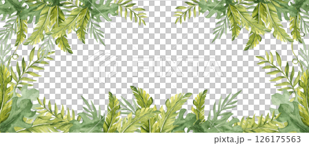 Watercolor horizontal square Frame from Tropical Leaves, banner. Eucalyptus, Monstera and Banana Palm. Hand drawn botanical jungle illustration. Ideal for greeting cards and invitations, exotic Watercolor horizontal square Frame from Tropical Leaves, banner. Eucalyptus, Monstera and Banana Palm. Hand drawn botanical jungle illustration. Ideal for greeting cards and invitations, exotic 126175563