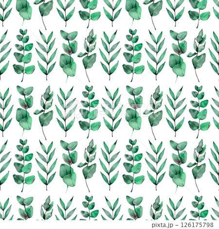Seamless pattern with different branches of Eucalyptus. Watercolor illustration of greenery, foliage and natural leaves. Template for floral textile design Seamless pattern with different branches of Eucalyptus. Watercolor illustration of greenery, foliage and natural leaves. Template for floral textile design 126175798