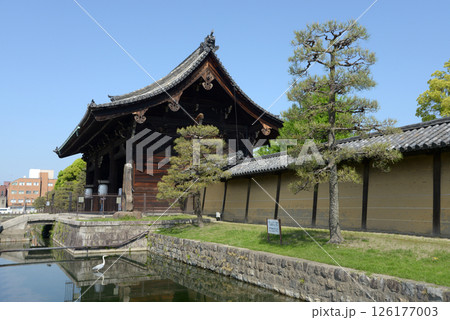 東寺 外壁と南大門 京都市南区九条町 東寺 外壁と南大門 京都市南区九条町 126177003