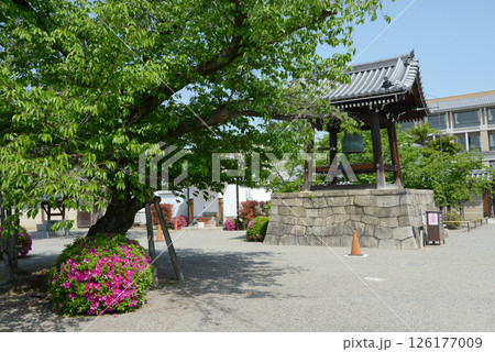 東寺　鐘楼　京都市南区九条町 126177009