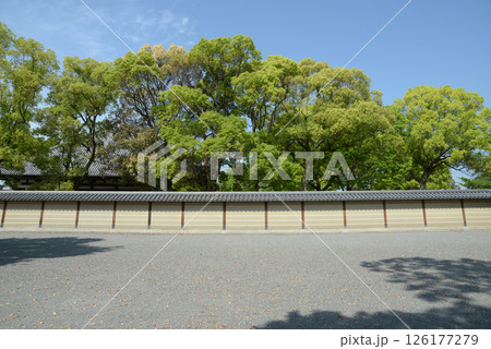 東寺 新緑の灌頂院 京都市南区九条町 東寺 新緑の灌頂院 京都市南区九条町 126177279