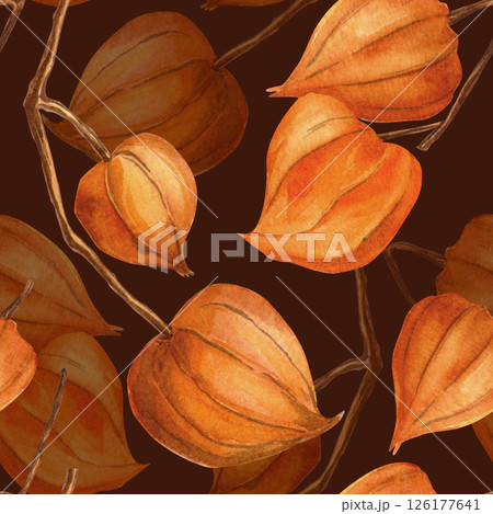 Burgundy autumn seamless pattern of physalis in vintage style. Botanical watercolor texture. Elegant fall twig with physalis background. Perfect for seasonal fall decoration, fabrics, wallpaper. Burgundy autumn seamless pattern of physalis in vintage style. Botanical watercolor texture. Elegant fall twig with physalis background. Perfect for seasonal fall decoration, fabrics, wallpaper. 126177641