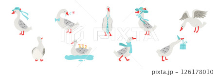 Grey Goose Character in Different Activity Vector Set 126178010