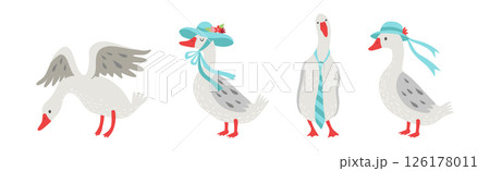 Grey Goose Character in Different Activity Vector Set 126178011