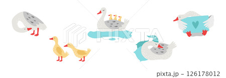 Grey Goose Character in Different Activity Vector Set 126178012