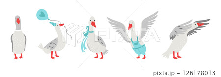 Grey Goose Character in Different Activity Vector Set 126178013
