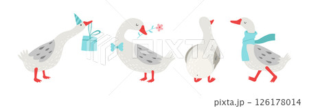 Grey Goose Character in Different Activity Vector Set 126178014